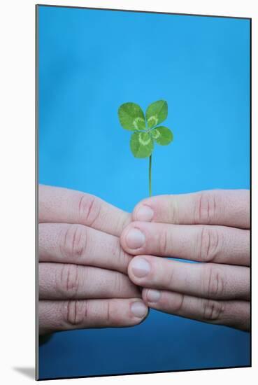 Man Holding Four-Leaf Clover-Joe Petersburger-Mounted Photographic Print