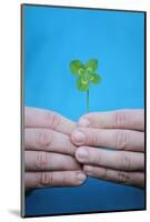 Man Holding Four-Leaf Clover-Joe Petersburger-Mounted Photographic Print