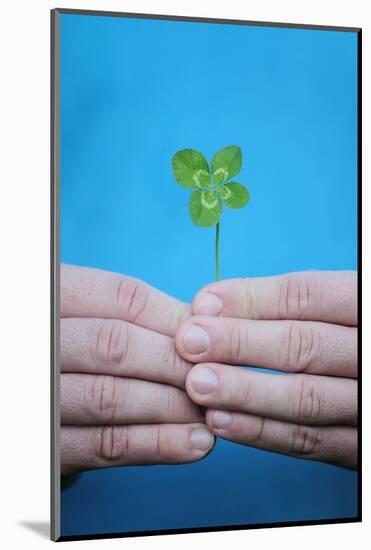 Man Holding Four-Leaf Clover-Joe Petersburger-Mounted Photographic Print