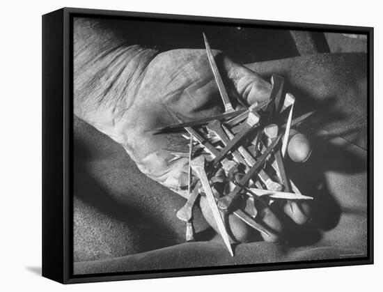 Man Holding Nails That Have Been Pulled from Old Horseshoes-Fritz Goro-Framed Stretched Canvas