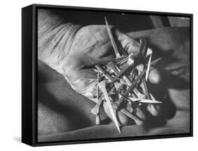 Man Holding Nails That Have Been Pulled from Old Horseshoes-Fritz Goro-Framed Stretched Canvas