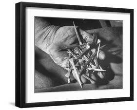 Man Holding Nails That Have Been Pulled from Old Horseshoes-Fritz Goro-Framed Photographic Print