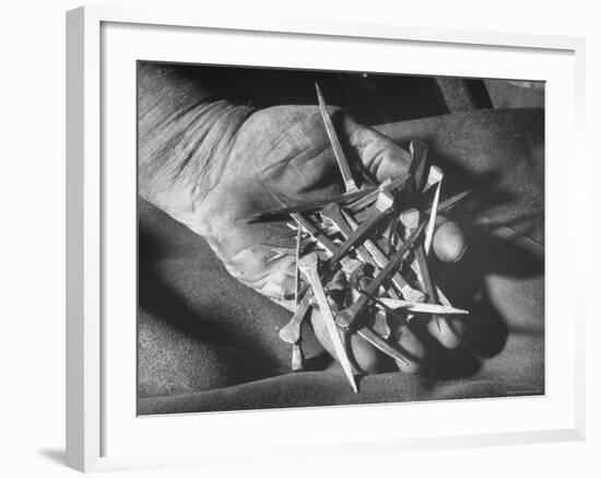 Man Holding Nails That Have Been Pulled from Old Horseshoes-Fritz Goro-Framed Photographic Print