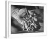 Man Holding Nails That Have Been Pulled from Old Horseshoes-Fritz Goro-Framed Photographic Print