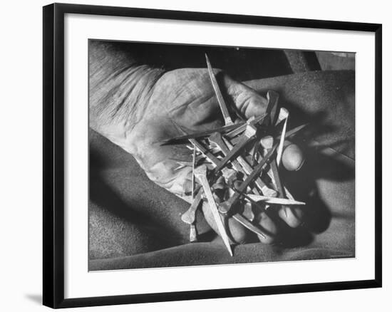 Man Holding Nails That Have Been Pulled from Old Horseshoes-Fritz Goro-Framed Photographic Print