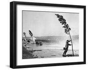 Man Holding onto Tree during Hurricane Carol-Stanley Hall-Framed Photographic Print