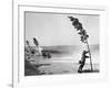 Man Holding onto Tree during Hurricane Carol-Stanley Hall-Framed Photographic Print