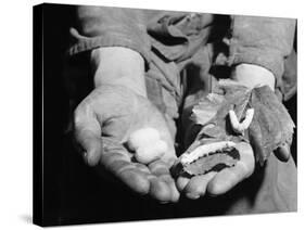 Man Holding Silkworms-Allyn Baum-Stretched Canvas