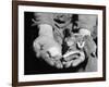 Man Holding Silkworms-Allyn Baum-Framed Photographic Print