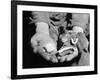 Man Holding Silkworms-Allyn Baum-Framed Photographic Print