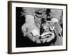 Man Holding Silkworms-Allyn Baum-Framed Photographic Print