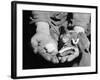 Man Holding Silkworms-Allyn Baum-Framed Photographic Print