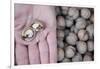 Man Holds a Broken up Walnut over Mass of Walnuts-Joe Petersburger-Framed Photographic Print