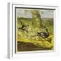 Man Hunting an Ostrich-Ernest Henry Griset-Framed Giclee Print