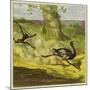 Man Hunting an Ostrich-Ernest Henry Griset-Mounted Giclee Print