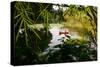 Man In A Boat In Ayutthaya, Thailand-Lindsay Daniels-Stretched Canvas