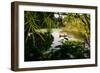 Man In A Boat In Ayutthaya, Thailand-Lindsay Daniels-Framed Photographic Print