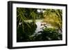 Man In A Boat In Ayutthaya, Thailand-Lindsay Daniels-Framed Photographic Print