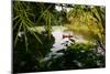 Man In A Boat In Ayutthaya, Thailand-Lindsay Daniels-Mounted Photographic Print