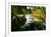 Man In A Boat In Ayutthaya, Thailand-Lindsay Daniels-Framed Photographic Print