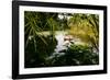 Man In A Boat In Ayutthaya, Thailand-Lindsay Daniels-Framed Photographic Print