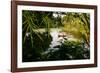 Man In A Boat In Ayutthaya, Thailand-Lindsay Daniels-Framed Photographic Print