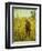 Man in a Cornfield-Eastman Johnson-Framed Giclee Print