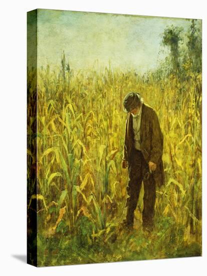 Man in a Cornfield-Eastman Johnson-Stretched Canvas