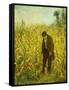 Man in a Cornfield-Eastman Johnson-Framed Stretched Canvas