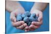 Man in Blue T-Shirt Holds Plum Fruits in His Palms-Joe Petersburger-Stretched Canvas