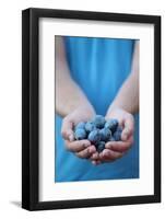 Man in Blue T-Shirt Holds Plum Fruits in His Palms-Joe Petersburger-Framed Photographic Print