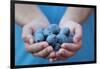 Man in Blue T-Shirt Holds Plum Fruits in His Palms-Joe Petersburger-Framed Photographic Print