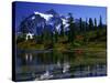 Man in Canoe, Picture Lake, WA-David Carriere-Stretched Canvas