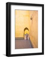 Man in Courtyard, Interior of Mausoleum of Moulay Ismail, Meknes, Morocco, North Africa-Neil Farrin-Framed Photographic Print