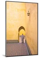 Man in Courtyard, Interior of Mausoleum of Moulay Ismail, Meknes, Morocco, North Africa-Neil Farrin-Mounted Photographic Print