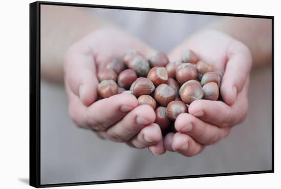 Man in Khaki T-Shirt Holds Hazelnuts in His Palms-Joe Petersburger-Framed Stretched Canvas