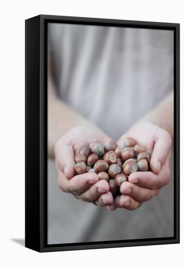 Man in Khaki T-Shirt Holds Hazelnuts in His Palms-Joe Petersburger-Framed Stretched Canvas