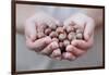 Man in Khaki T-Shirt Holds Hazelnuts in His Palms-Joe Petersburger-Framed Photographic Print