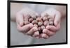 Man in Khaki T-Shirt Holds Hazelnuts in His Palms-Joe Petersburger-Framed Photographic Print