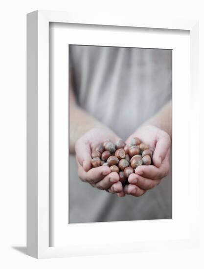 Man in Khaki T-Shirt Holds Hazelnuts in His Palms-Joe Petersburger-Framed Photographic Print