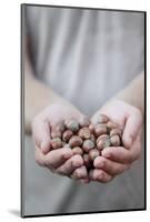 Man in Khaki T-Shirt Holds Hazelnuts in His Palms-Joe Petersburger-Mounted Photographic Print