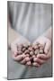 Man in Khaki T-Shirt Holds Hazelnuts in His Palms-Joe Petersburger-Mounted Photographic Print