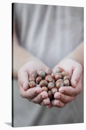 Man in Khaki T-Shirt Holds Hazelnuts in His Palms-Joe Petersburger-Stretched Canvas