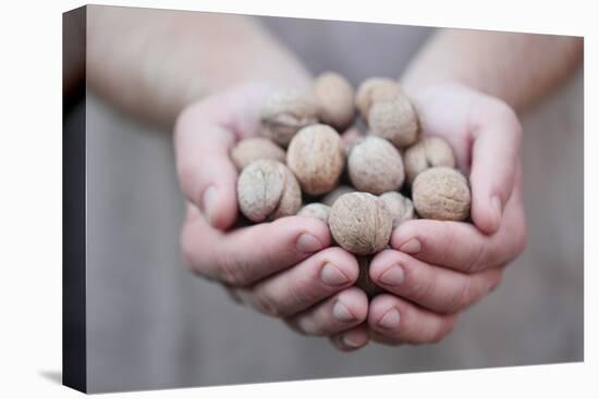 Man in Khaki T-Shirt Holds Walnuts in His Palms-Joe Petersburger-Stretched Canvas