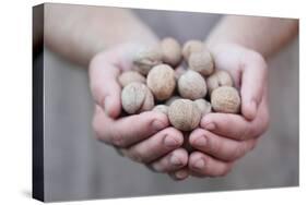 Man in Khaki T-Shirt Holds Walnuts in His Palms-Joe Petersburger-Stretched Canvas