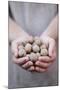 Man in Khaki T-Shirt Holds Walnuts in His Palms-Joe Petersburger-Mounted Photographic Print