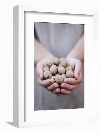 Man in Khaki T-Shirt Holds Walnuts in His Palms-Joe Petersburger-Framed Photographic Print