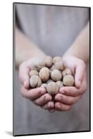 Man in Khaki T-Shirt Holds Walnuts in His Palms-Joe Petersburger-Mounted Photographic Print