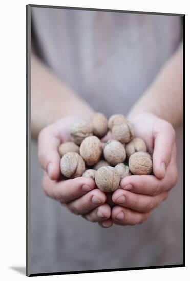 Man in Khaki T-Shirt Holds Walnuts in His Palms-Joe Petersburger-Mounted Photographic Print