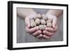 Man in Khaki T-Shirt Holds Walnuts in His Palms-Joe Petersburger-Framed Photographic Print